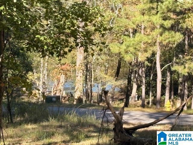 Land for sale in Bessemer, Alabama