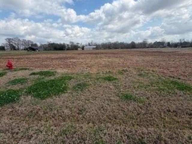 Land for sale in Boyce, Louisiana