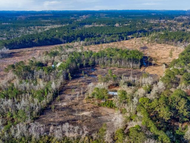 Land for sale in Cottageville, South Carolina