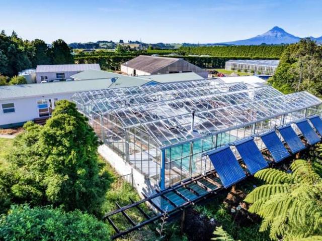 Property for sale in Lepperton, Taranaki