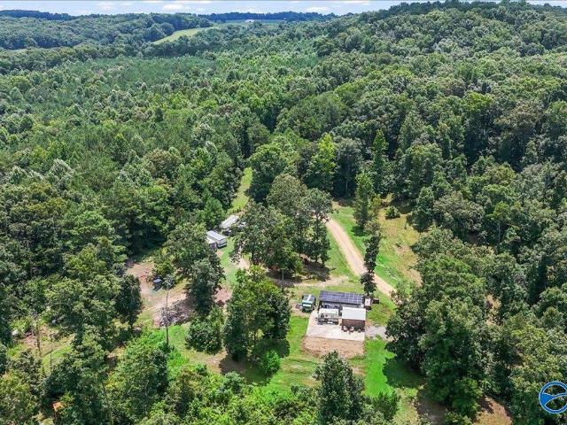 Land for sale in Eva, Alabama