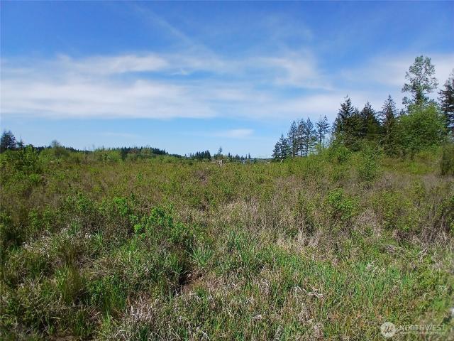 Land for sale in Winlock, Washington