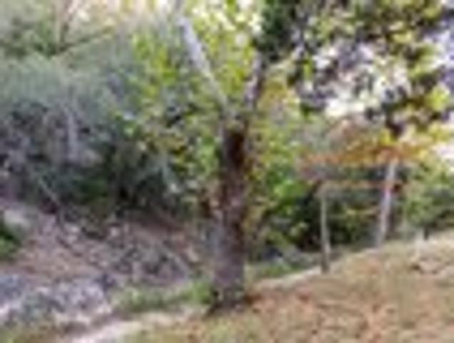 House for sale in Pipe Creek, Texas