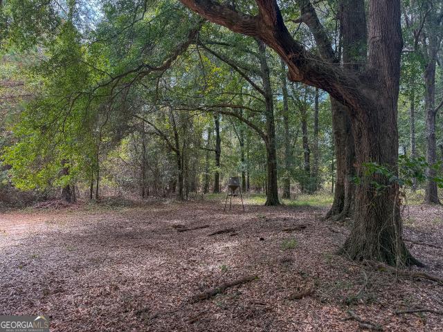 Land for sale in Webster, Georgia