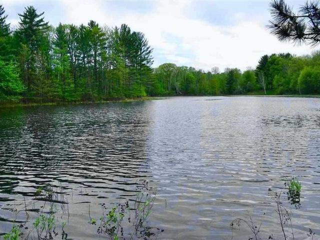 Land for sale in Gaylord, Michigan