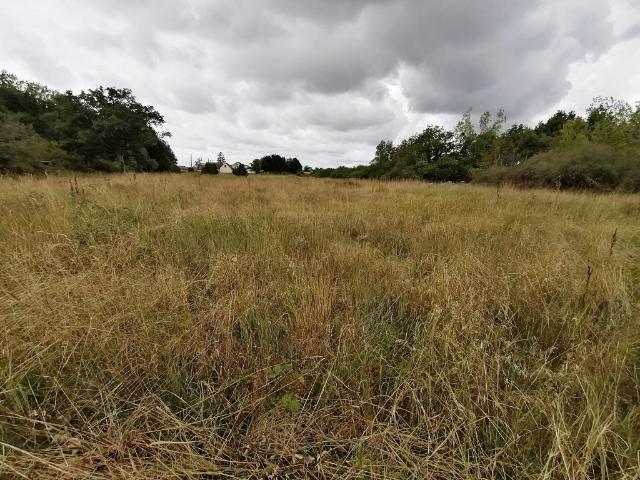 Terrain vente à Orléans, Saint-benoît-sur-loire