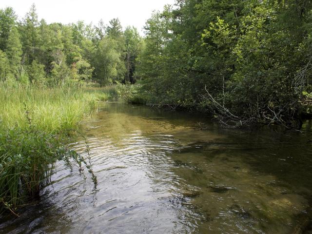 Land for sale in Michigan