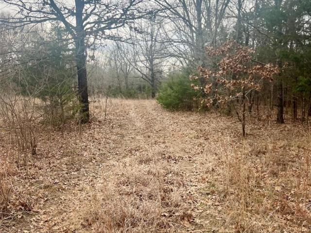 Property for sale in Sulphur Springs, Texas