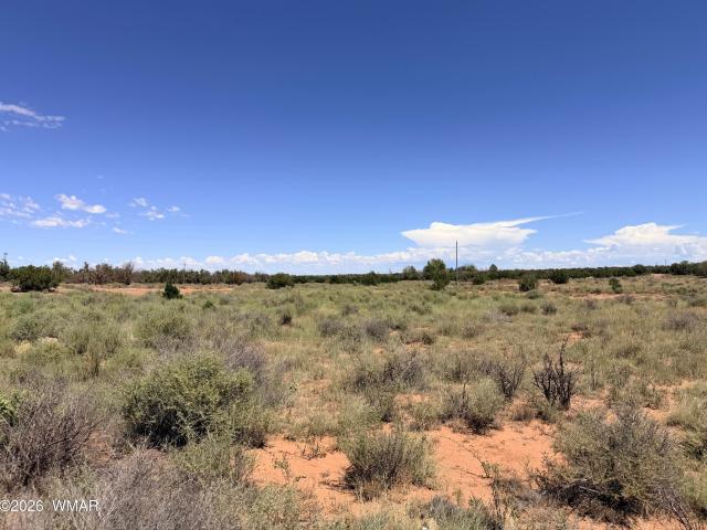 Land for sale in Navajo, Arizona