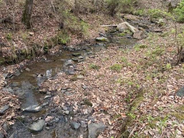 Land for sale in Forsyth, Georgia