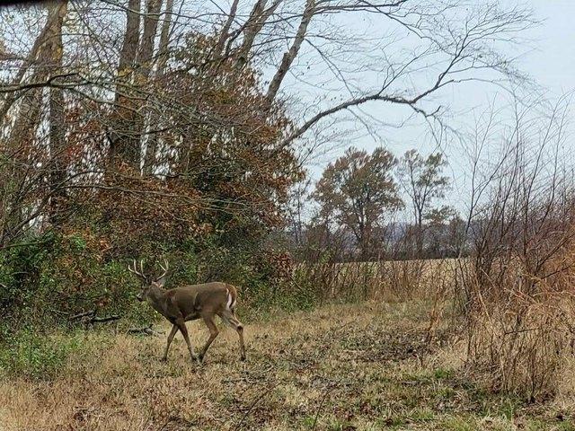 Land for sale in Enfield, Illinois