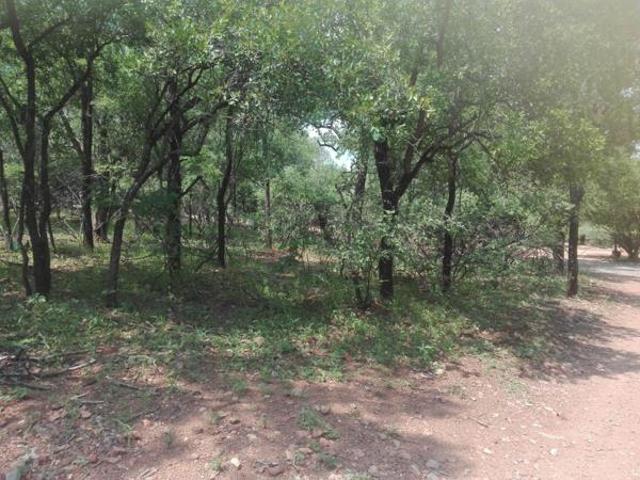 Land for sale in Limpopo