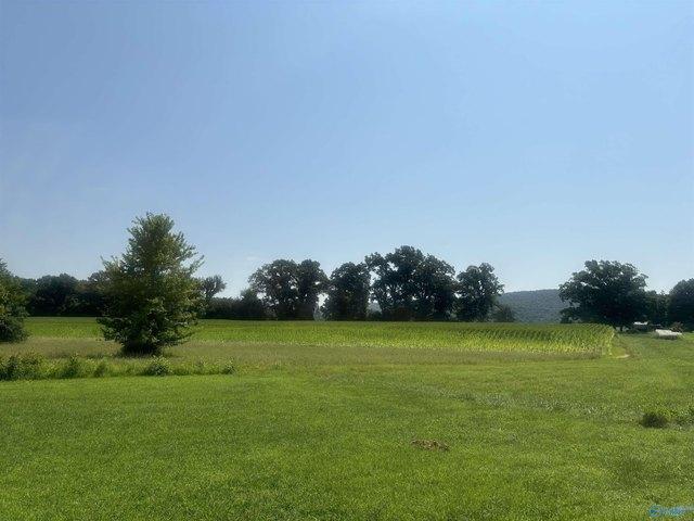 Land for sale in New Market, Alabama
