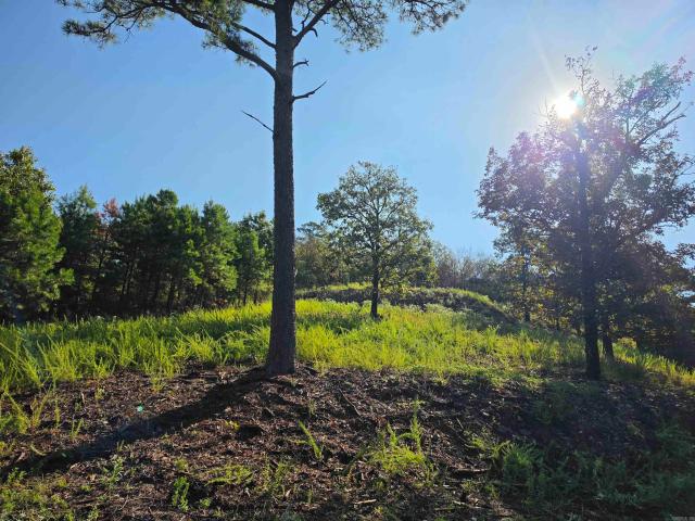 Land for sale in Mena, Polk County
