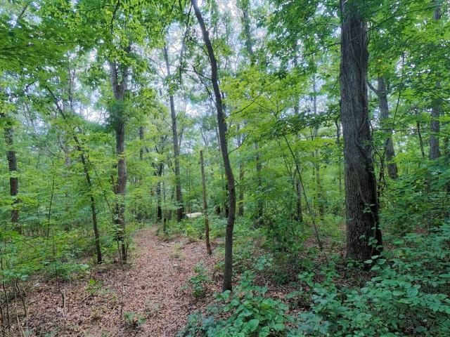 Land for sale in Morgantown, Kentucky