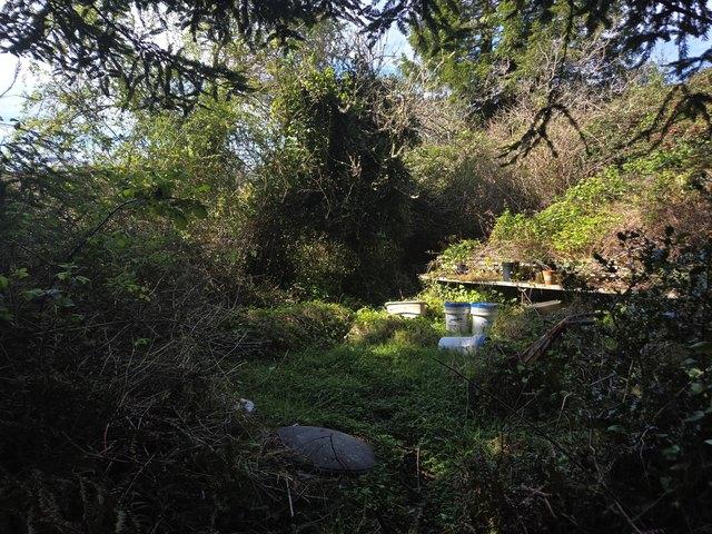 House for sale in Humboldt, California