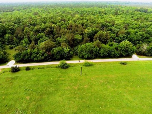 Land for sale in Clarksville, Texas