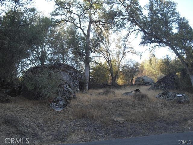 Land for sale in Mariposa