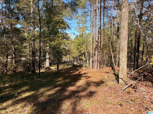 Land for sale in Bessemer, Jefferson County