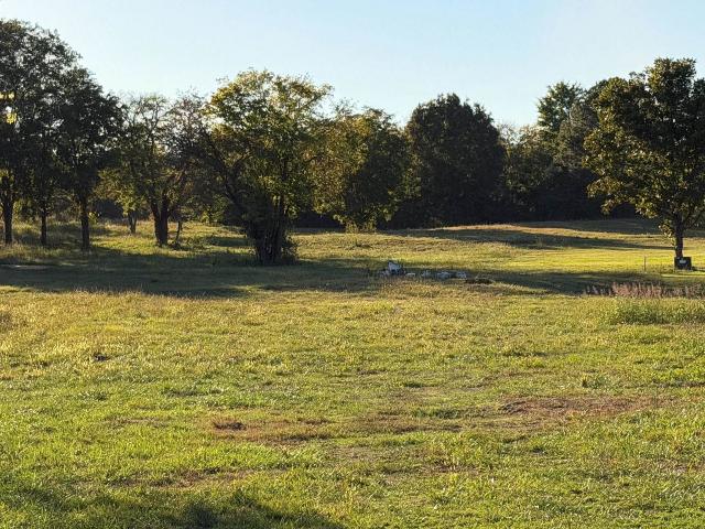 Land for sale in Leighton, Colbert County