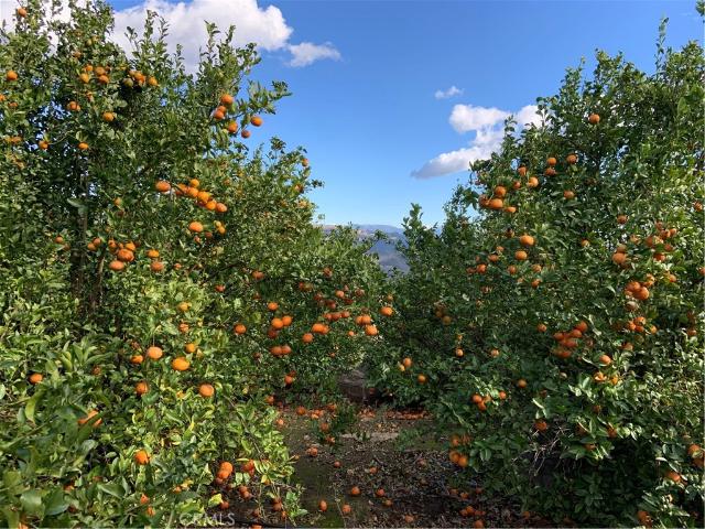 Land for sale in Temecula Land for sale in Temecula