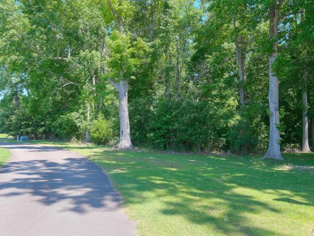 Land for sale in Windsor, North Carolina
