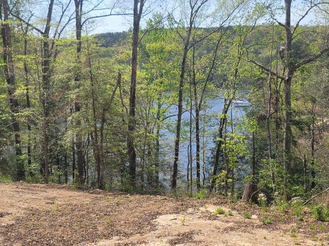 Land for sale in Arley, Alabama