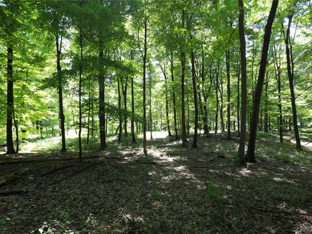 Land for sale in Kingston, New York