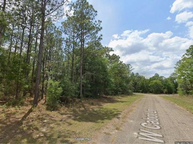 Land for sale in Dunnellon, Florida