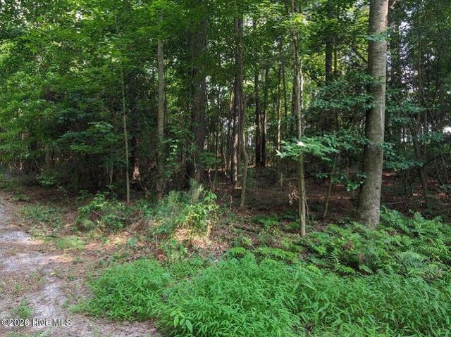 Land for sale in Clarkton, Bladen County