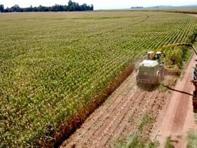 Farm for sale in Newcastle, Kwazulu-natal