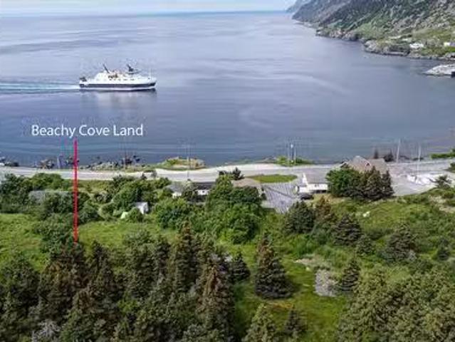 House for sale in Bauline, Newfoundland And Labrador