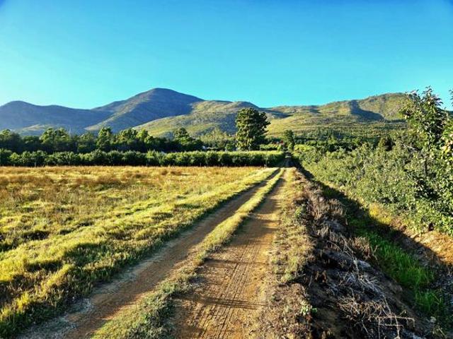 Farm for sale in Joubertina, Eastern Cape