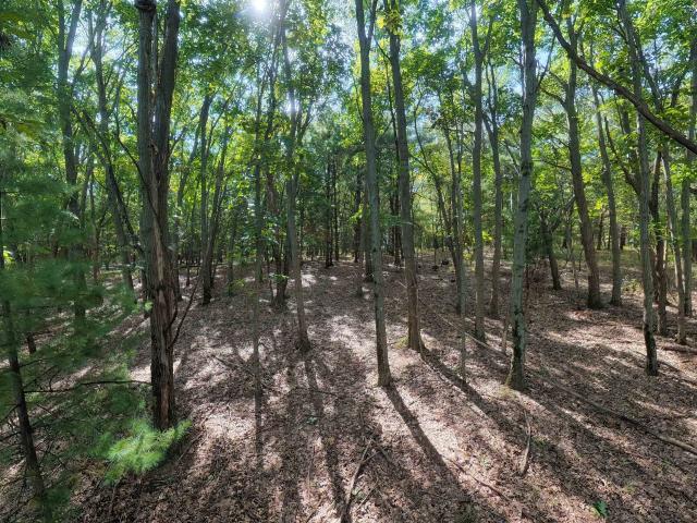 Land for sale in Packwaukee, Wisconsin
