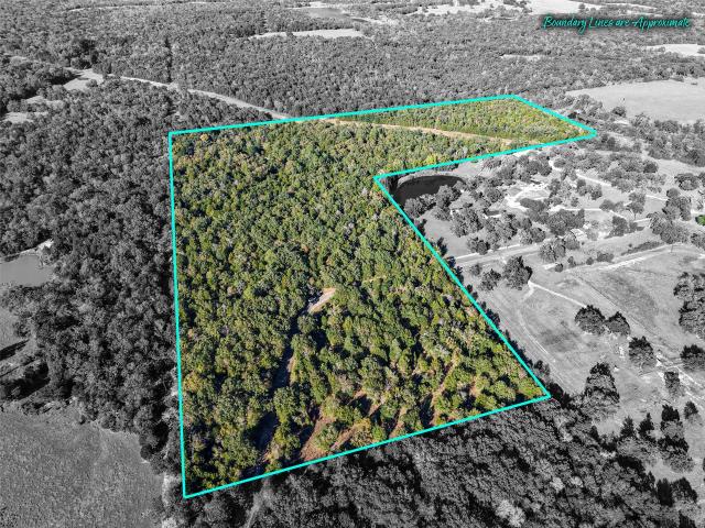 Land for sale in Teague, Texas