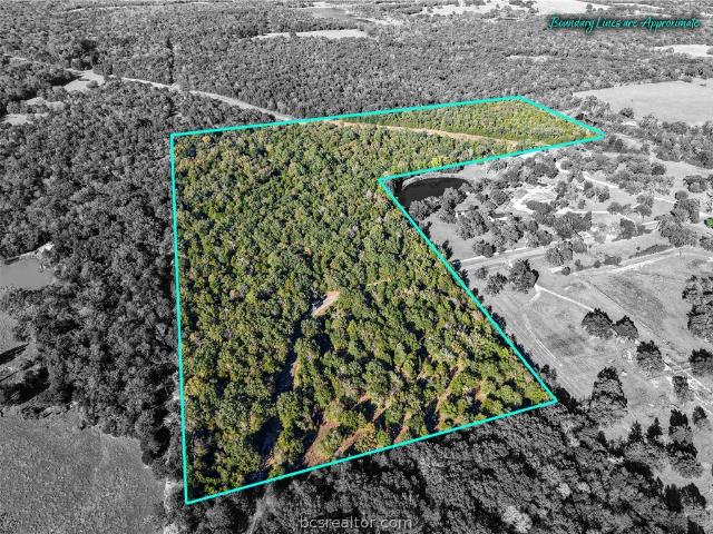 Land for sale in Teague, Texas