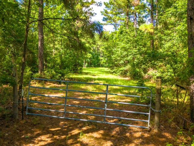 Land for sale in Crockett, Texas