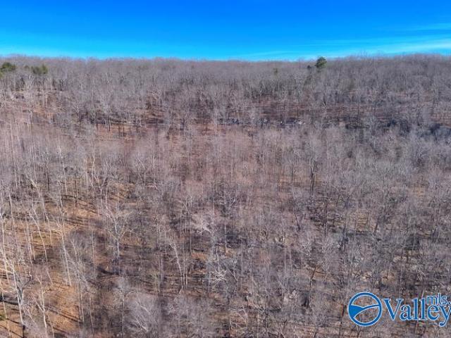 Land for sale in Gurley, Alabama