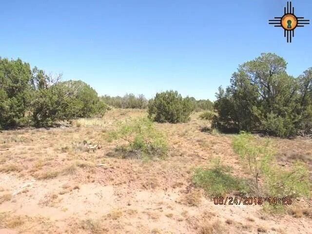 Land for sale in New Mexico