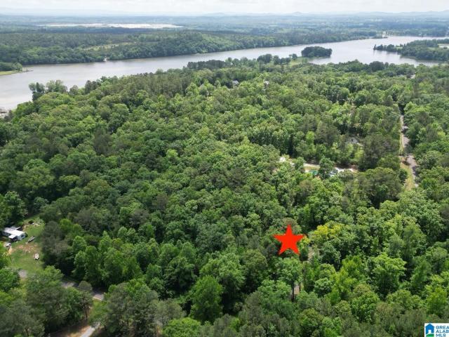 Land for sale in Riverside, Alabama