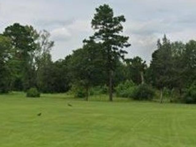 Land for sale in Linden, Texas