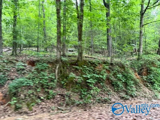Land for sale in Collinsville, Alabama