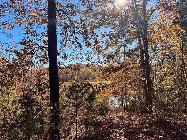 Land for sale in Laurens, South Carolina