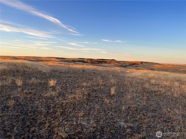 Land for sale in Wilson Creek, Washington