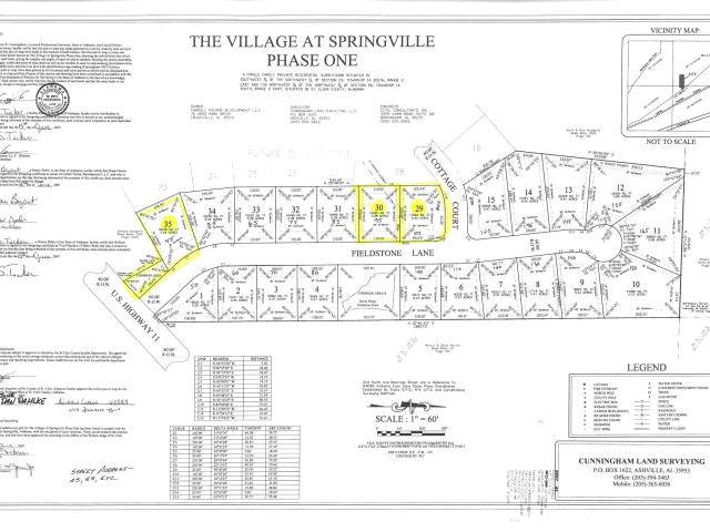Land for sale in Springville, Alabama