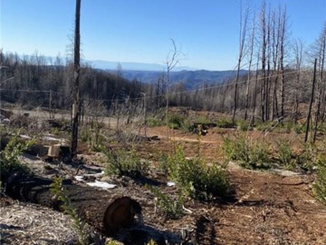 Land for sale in Butte, California