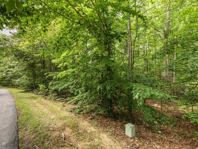 Land for sale in Virginia