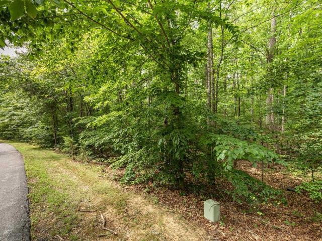 Land for sale in Virginia