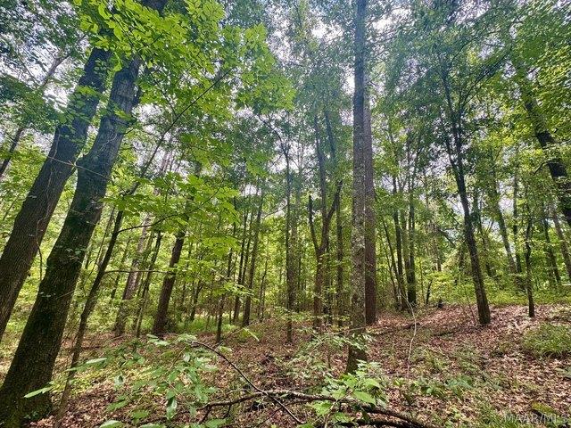 Farm for sale in Union Springs, Bullock County