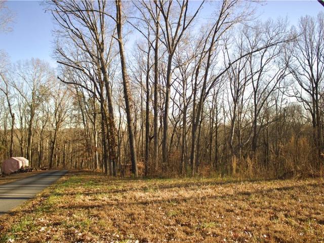 Land for sale in Bartow, Georgia